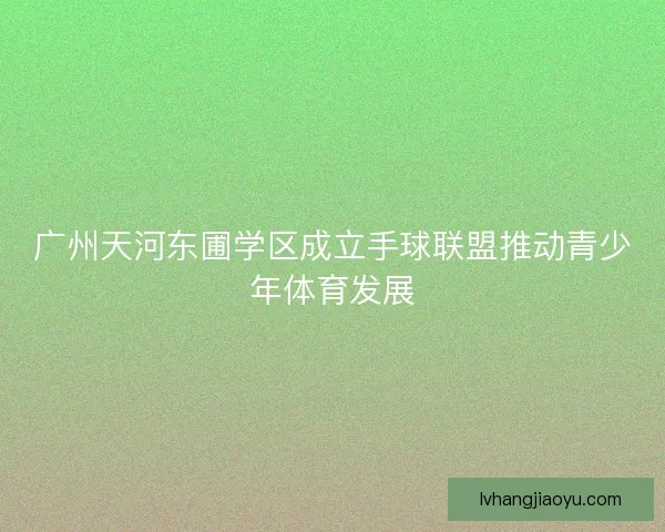 广州天河东圃学区成立手球联盟推动青少年体育发展